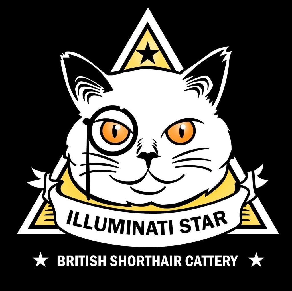 Illuminati Star